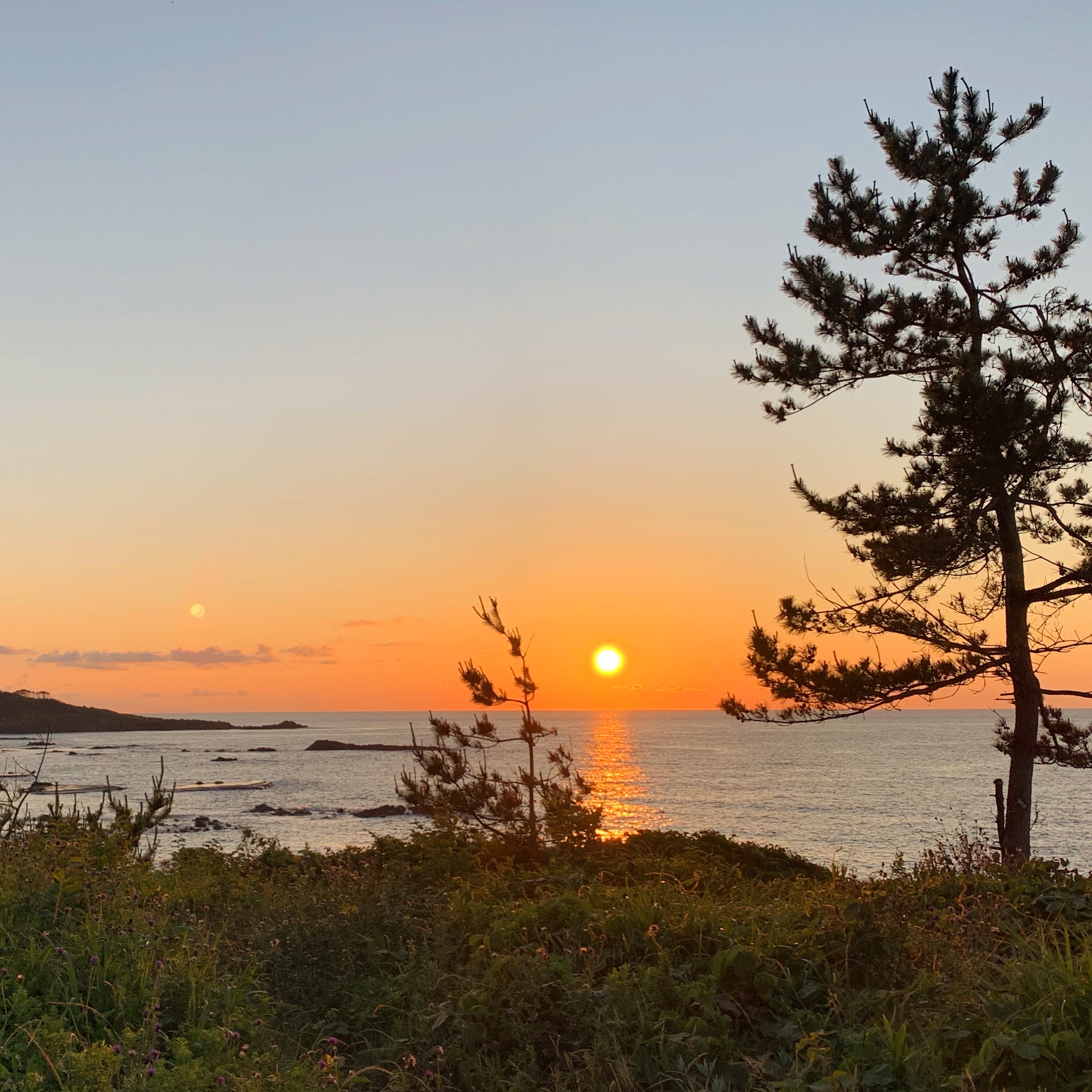 ファイル 101-3.jpeg