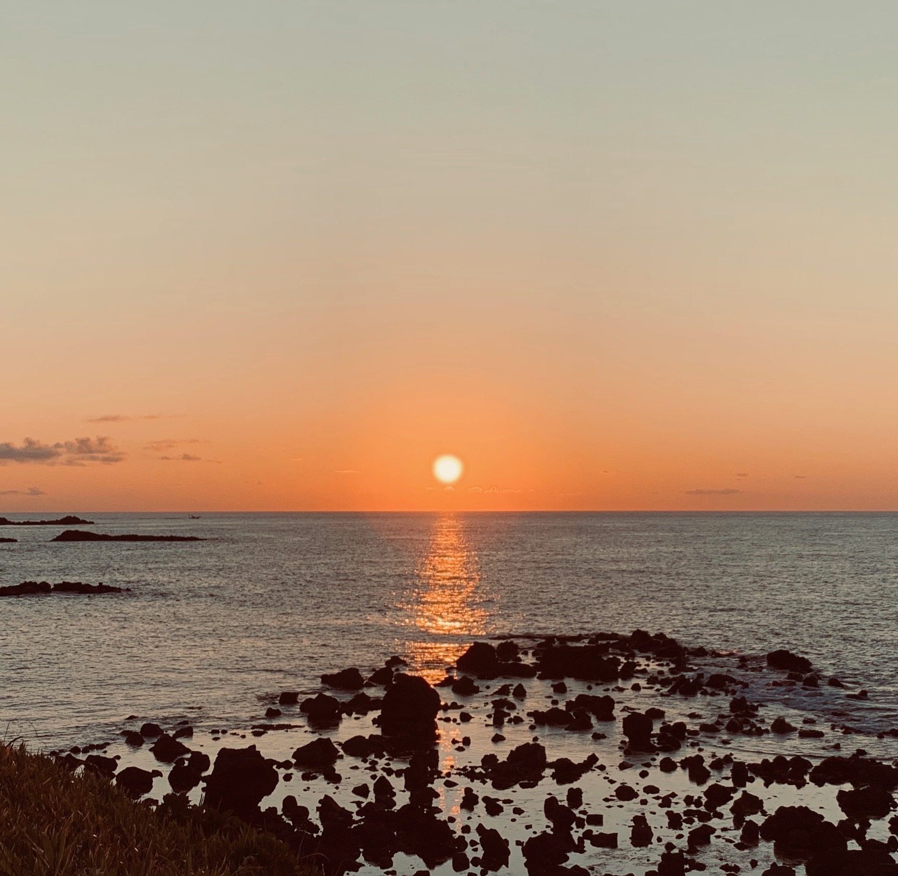 ファイル 101-4.jpeg