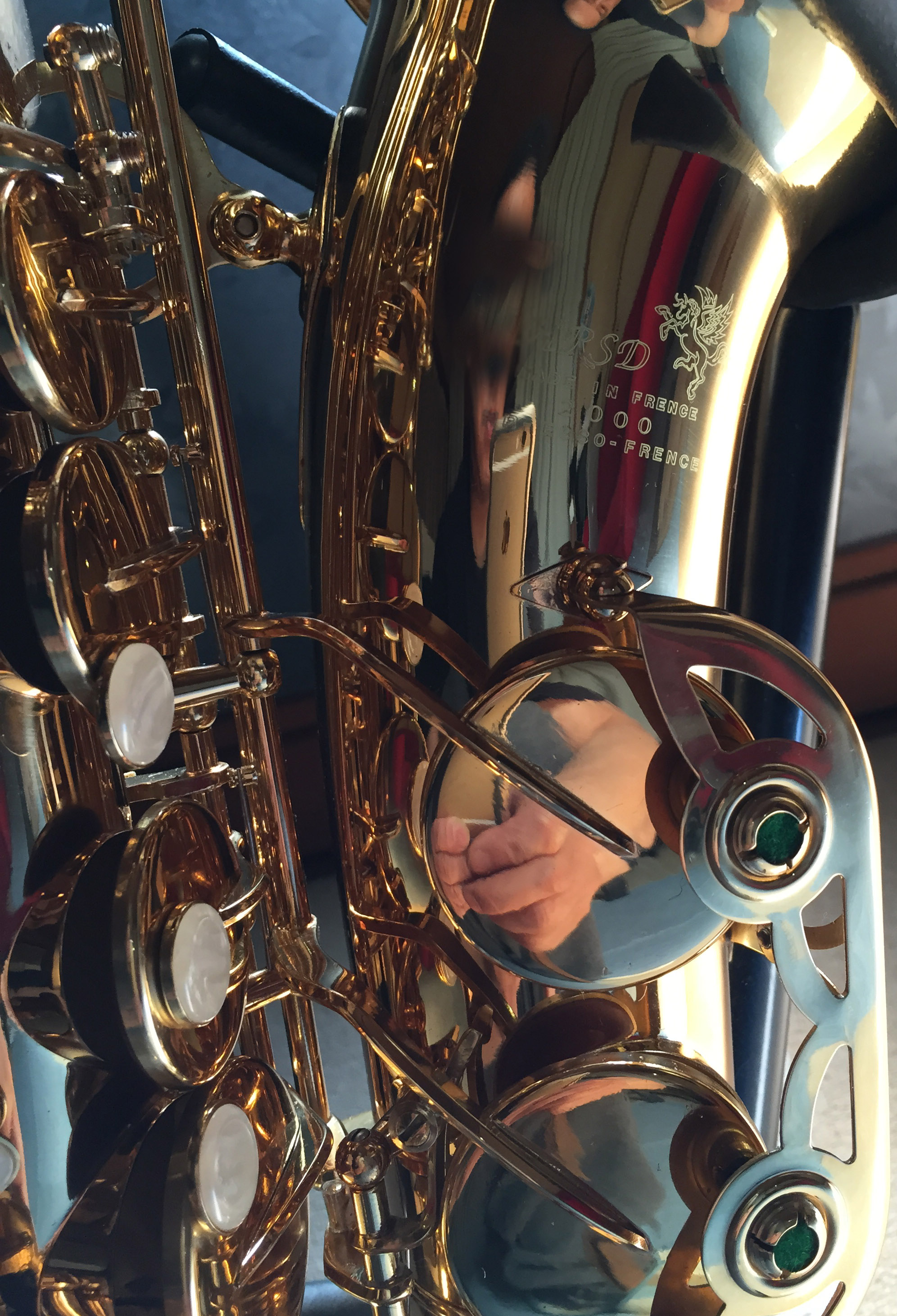 ファイル 5-1.jpg